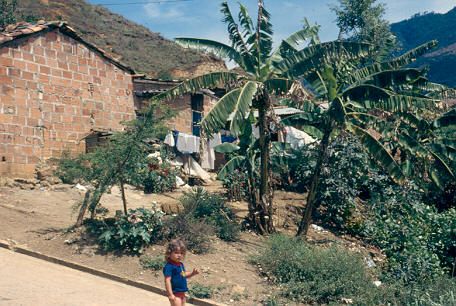 Cltivos en parte trasera de vivienda Barrio la Libertad
Cehap 1983




Palabras clave: BARRIO LA LIBERTAD