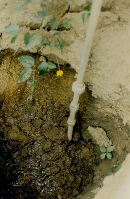 Problemas de humedad por mal estado en las tuberias, urbanizacion El Recreo
CEHAP
1986
Palabras clave: PATOLOGIAS