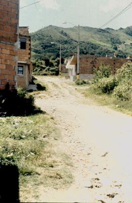 Estado de las vias, urbanizacion El Recreo
CEHAP
1986
Palabras clave: URBANIZACIONES