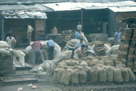 Mercado de papas Centro de Medellin
Cehap 1992


Palabras clave: ECONOMIA INFORMAL VENDEDORES MEDELLIN