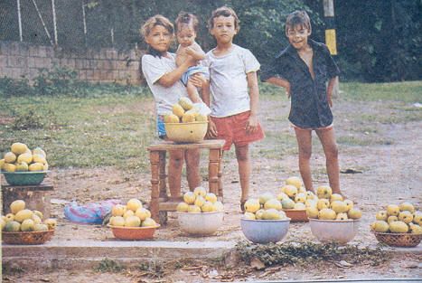 Ninos vendiendo frutas Medellin
Cehap 1992




Palabras clave: ESPACIO PUBLICO MEDELLIN