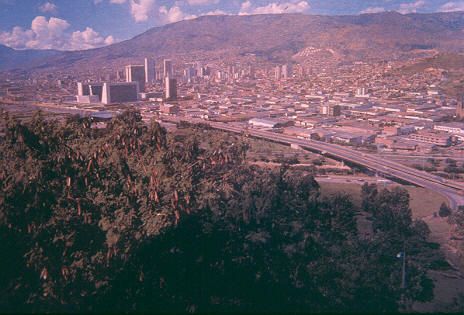 Panoramica del centro de Medellin
Cehap 1992




Palabras clave: CENTRO DE MEDELLIN