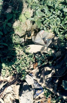 Basurero en zona verde Medellin
Cehap 1992
Palabras clave: ESPACIO PUBLICO MEDELLIN