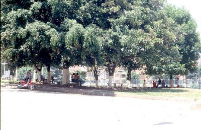 Parque Grandes soles en el barrio Belen
Cehap 2001
Palabras clave: BELEN PARQUES