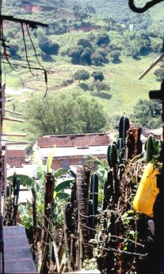 Vivienda rural Belen  Rincon 
Cehap 2001
Palabras clave: BELEN RINCON VIVIENDA