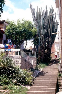Escalinatas Belen Rincon
CEHAP 2001
Palabras clave: BELEN RINCON VIVIENDA