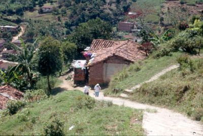 Caminos y viviendas, Manzanillo Belen Rincon
CEHAP 2001
Palabras clave: BELEN RINCON VIVIENDA