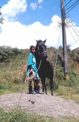 Niño con caballo manzanillo Belen Rincon
CEHAP 2001
Palabras clave: BELEN RINCON