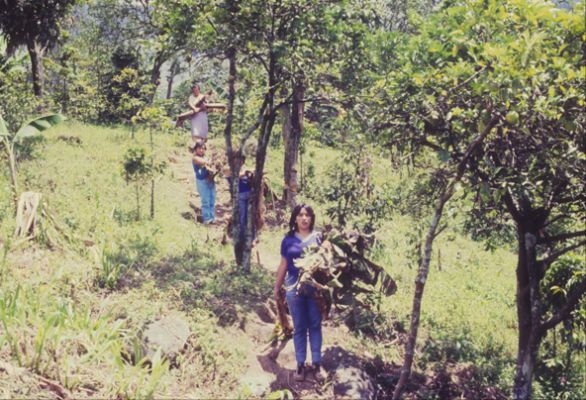 Desmonte y limpieza de lote para la construccion del Proyecto de Vivienda Mi Casita
Cehap
PEVAL, 1984
Palabras clave: REUBICACION