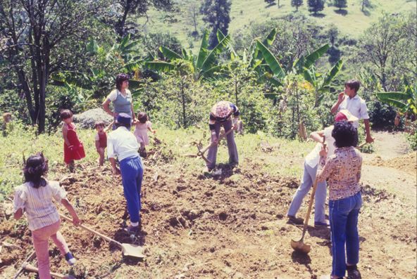 Limpieza del lote del proyecto de vivienda Mi Casita
Cehap
PEVAL, 1984
Palabras clave: REUBICACION