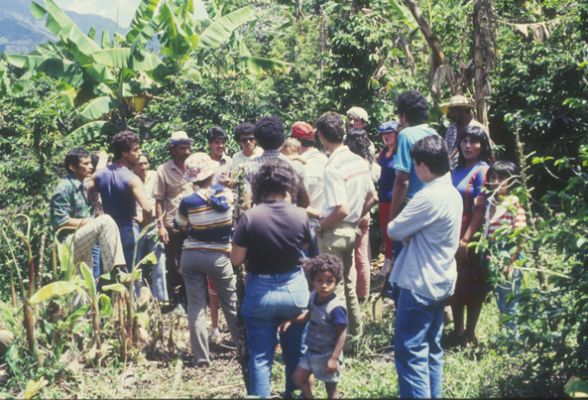 Comunidad asistiendo a la misa de consagracion del lote del Proyecto de Vivivienda Mi Casita
Cehap
PEVAL, 1984
Palabras clave: REUBICACION