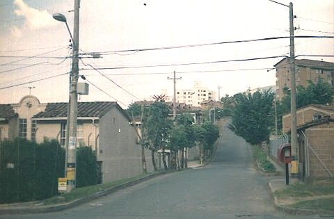 Viviendas en pendiente Barrio Belen Rincon 
Cehap 2001
Palabras clave: BARRIO BELEN RINCON
