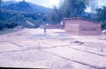 D00567.jpg