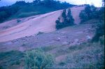 D00583.jpg