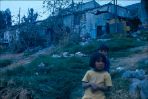 D00597.jpg