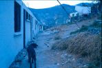 D00604.jpg