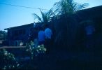D00642.jpg