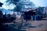 D00647.jpg