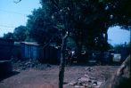 D00648.jpg