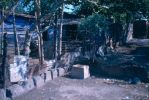 D00652.jpg