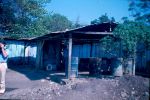 D00656.jpg