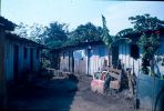 D00671.jpg