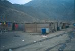 D00691.jpg