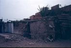 D00764.jpg