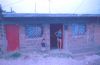 D0229.jpg