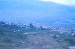 D0232.jpg