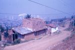 D0303.jpg