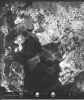 FA0014.jpg