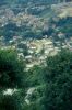 NC 4660 zona invasin.jpg