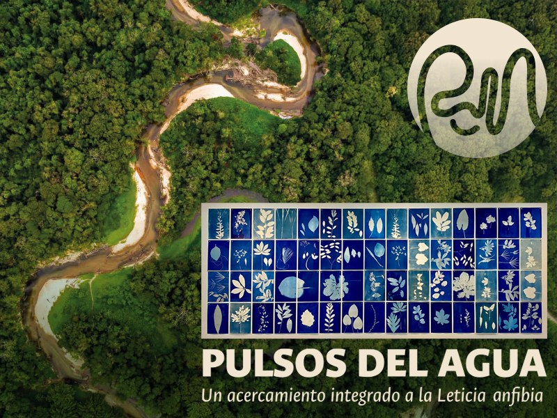 Pulsos del Agua llega a Sala U
