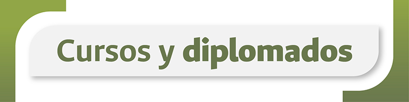20250521 BannerBIGcursos diplomados