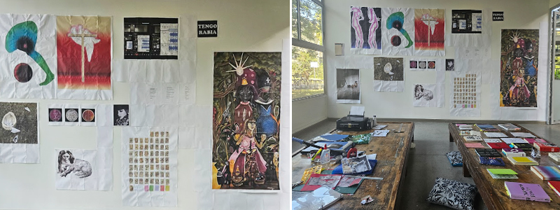 20250723 Artes 04Disforicas