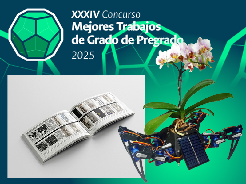 Plantas Epimecóticas y Paisaje Urbano entre los ganadores del Concurso Mejores Trabajos de Grado de pregrado 