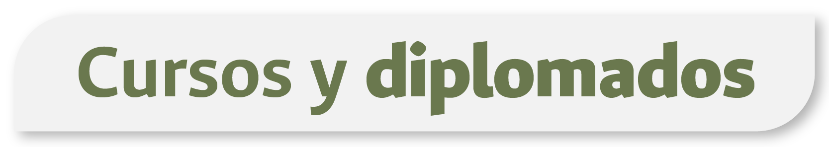 20250917 Banner cursos y diplomados